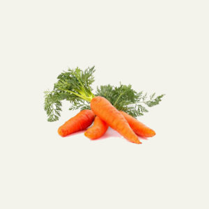 Carrot