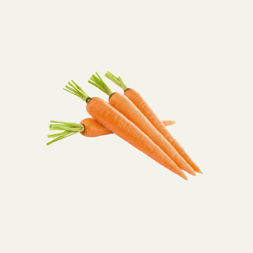 Carrot