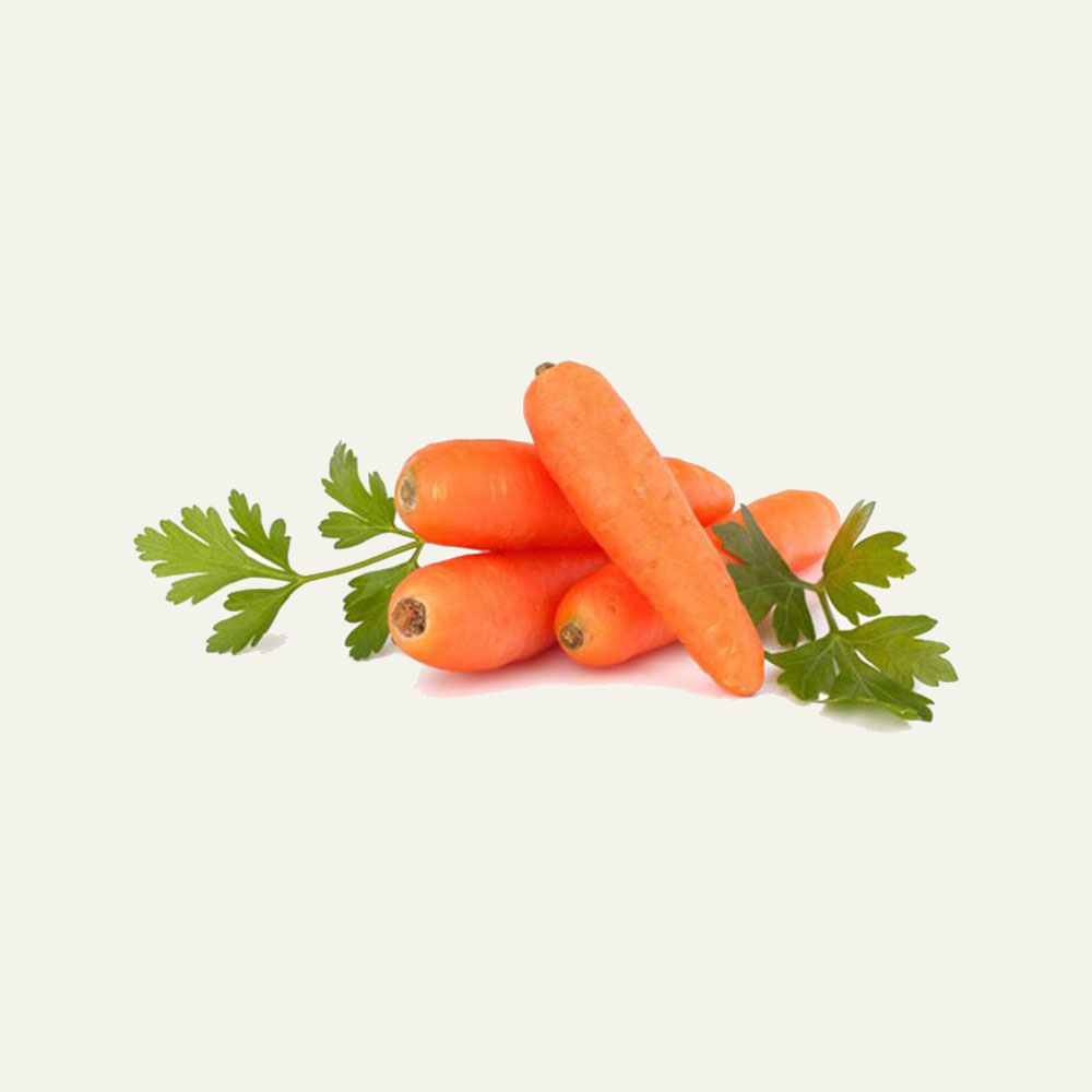 Carrot