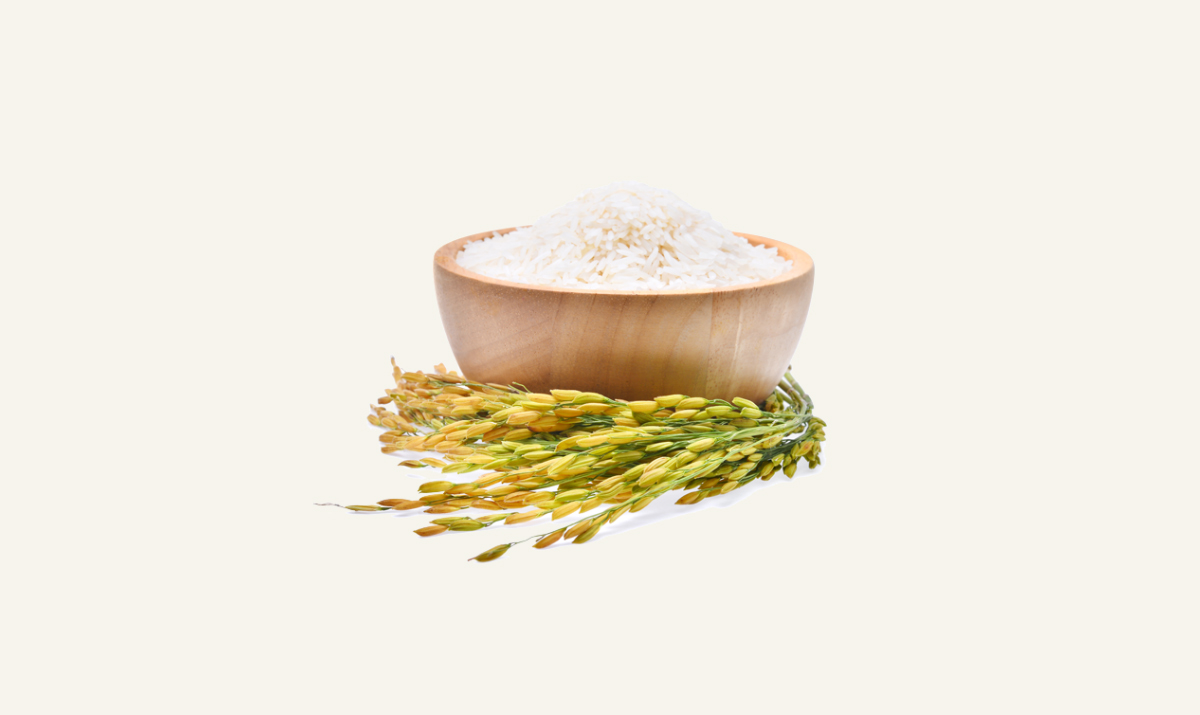 rice1