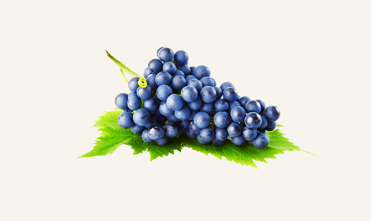 Grapes3