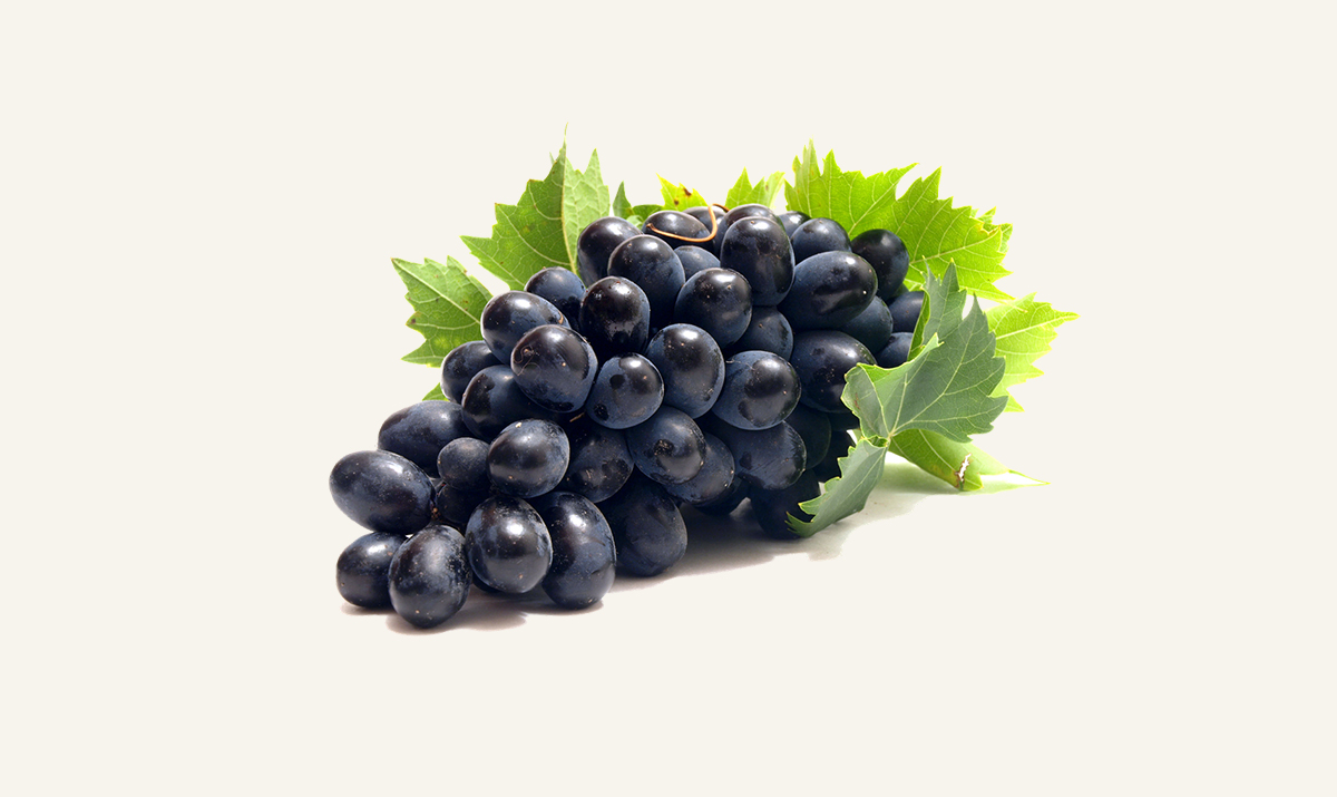 Grapes5